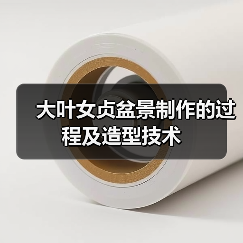 大叶女贞盆景制作的过程及造型技术(图4)
