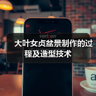 大叶女贞盆景制作的过程及造型技术(图2)