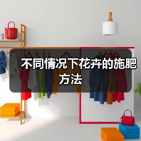 不同情况下花卉的施肥方法(图4)