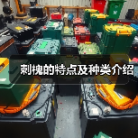 刺槐的特点及种类介绍(图1) 刺槐的特点及种类介绍(图1)