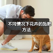 不同情况下花卉的施肥方法