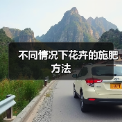 不同情况下花卉的施肥方法(图2)