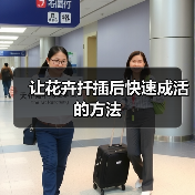 让花卉扦插后快速成活的方法(图3) 让花卉扦插后快速成活的方法(图3)