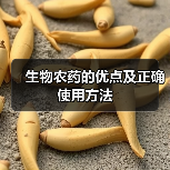 生物农药的优点及正确使用方法(图4)
