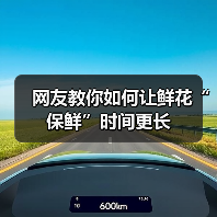 网友教你如何让鲜花“保鲜”时间更长(图3) 网友教你如何让鲜花“保鲜”时间更长(图3)