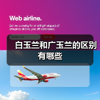 白玉兰和广玉兰的区别有哪些(图4)