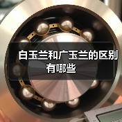 白玉兰和广玉兰的区别有哪些