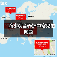 滴水观音养护中常见的问题(图3) 滴水观音养护中常见的问题(图3)