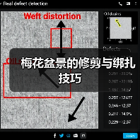 梅花盆景的修剪与绑扎技巧(图3) 梅花盆景的修剪与绑扎技巧(图3)