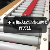 不同梅花盆景造型的制作方法(图2) 不同梅花盆景造型的制作方法(图2)