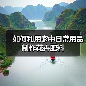 如何利用家中日常用品制作花卉肥料(图4)