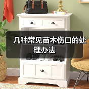 几种常见苗木伤口的处理办法(图1) 几种常见苗木伤口的处理办法(图1)