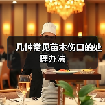 几种常见苗木伤口的处理办法(图2) 几种常见苗木伤口的处理办法(图2)