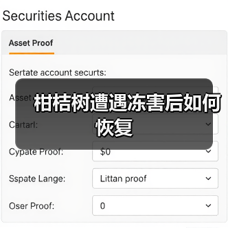 柑桔树遭遇冻害后如何恢复(图4)
