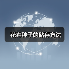 花卉种子的储存方法(图4) 花卉种子的储存方法(图4)