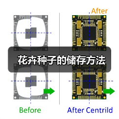 花卉种子的储存方法(图2) 花卉种子的储存方法(图2)