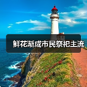 鲜花渐成市民祭祀主流(图4)