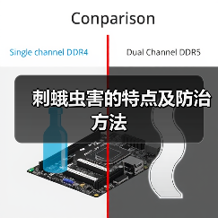 刺蛾虫害的特点及防治方法(图4)