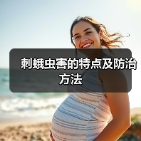 刺蛾虫害的特点及防治方法(图2)