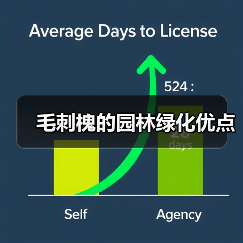毛刺槐的园林绿化优点(图2) 毛刺槐的园林绿化优点(图2)