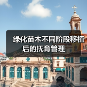 绿化苗木不同阶段移植后的抚育管理