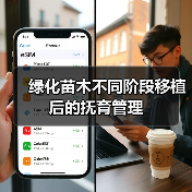绿化苗木不同阶段移植后的抚育管理(图3)