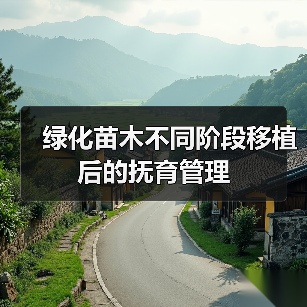 绿化苗木不同阶段移植后的抚育管理(图4)