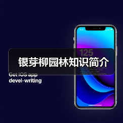 银芽柳园林知识简介(图4)