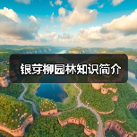 银芽柳园林知识简介