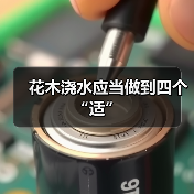 花木浇水应当做到四个“适”(图3) 花木浇水应当做到四个“适”(图3)