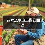 花木浇水应当做到四个“适”(图4) 花木浇水应当做到四个“适”(图4)