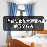 有效防止花木遭受冻害的五个方法(图2)
