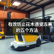 有效防止花木遭受冻害的五个方法(图3)