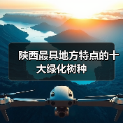 陕西最具地方特点的十大绿化树种(图2)