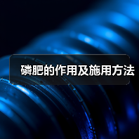 磷肥的作用及施用方法(图2) 磷肥的作用及施用方法(图2)