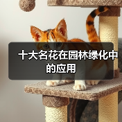 十大名花在园林绿化中的应用(图1) 十大名花在园林绿化中的应用(图1)