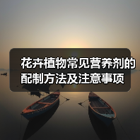 花卉植物常见营养剂的配制方法及注意事项(图2) 花卉植物常见营养剂的配制方法及注意事项(图2)