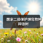 国家二级保护濒危物种：秤锤树