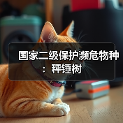 国家二级保护濒危物种：秤锤树(图3)