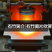 石竹简介|石竹图片欣赏(图4)