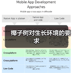 椰子树对生长环境的要求(图2) 椰子树对生长环境的要求(图2)