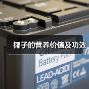 椰子的营养价值及功效(图3) 椰子的营养价值及功效(图3)
