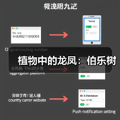 植物中的龙凤:伯乐树(图1) 植物中的龙凤:伯乐树(图1)