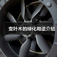 变叶木的绿化用途介绍(图2)
