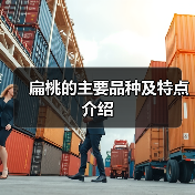 扁桃的主要品种及特点介绍(图2)