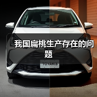 我国扁桃生产存在的问题(图3)