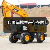 我国扁桃生产存在的问题(图2)