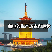 扁桃的生产历史和现状(图3) 扁桃的生产历史和现状(图3)