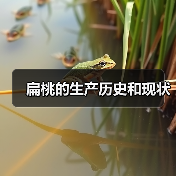 扁桃的生产历史和现状(图4) 扁桃的生产历史和现状(图4)