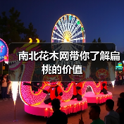 南北花木网带你了解扁桃的价值(图4) 南北花木网带你了解扁桃的价值(图4)
